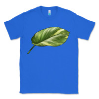 True Royal Golden Pothos Leaf Classic Tee - LillyAllenDesigns