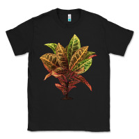 Black Croton Classic Tee - LillyAllenDesigns