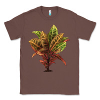 Chestnut Croton Classic Tee - LillyAllenDesigns