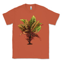 Copper Croton Classic Tee - LillyAllenDesigns