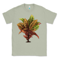 Matcha Croton Classic Tee - LillyAllenDesigns
