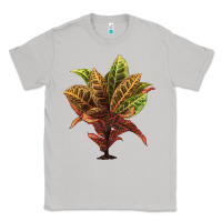 Moon Dust Croton Classic Tee - LillyAllenDesigns