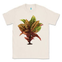 Natural Croton Classic Tee - LillyAllenDesigns