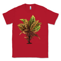 Red Croton Classic Tee - LillyAllenDesigns