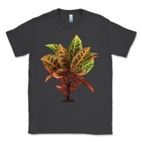 Smoke Croton Classic Tee - LillyAllenDesigns