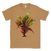 Toasted Coconut Croton Classic Tee - LillyAllenDesigns