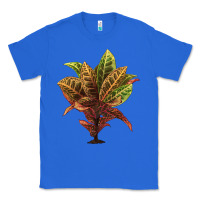 True Royal Croton Classic Tee - LillyAllenDesigns