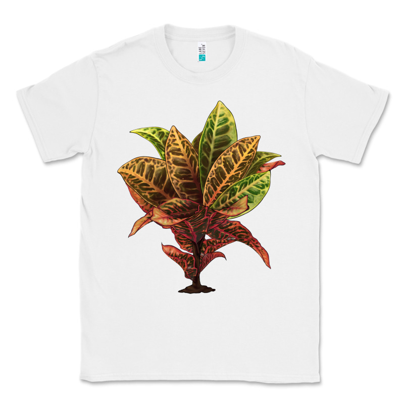 Croton Classic Tee by LillyAllenDesigns | Teevron