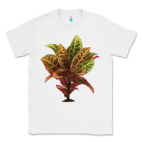 White Croton Classic Tee - LillyAllenDesigns