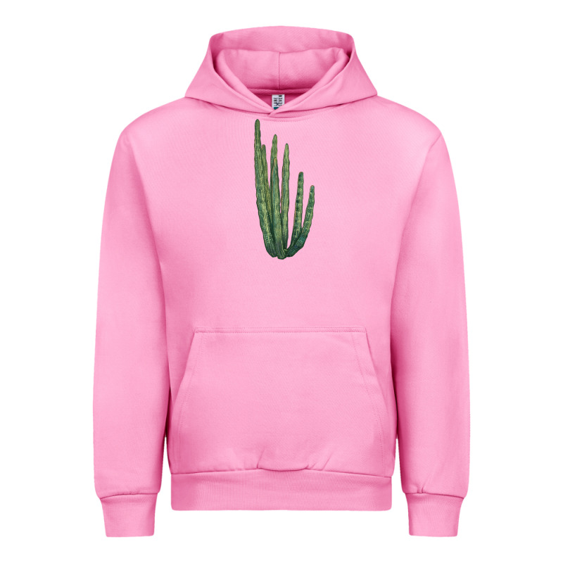 Organ Pipe Cactus Urban Hoodie by LillyAllenDesigns | Teevron