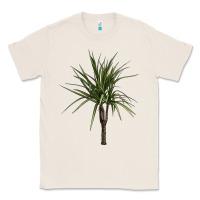 Natural Dracaena Marginata Classic Tee - LillyAllenDesigns