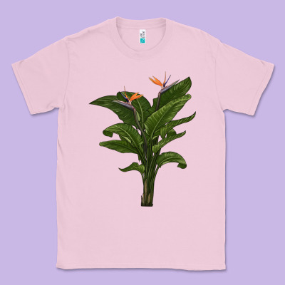 The Bird Of Paradise Classic Tee Designed By Lillyallendesigns