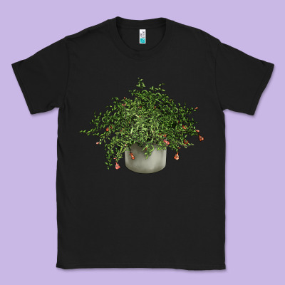 Dwarf Pomegranate Tree Illustrations Classic Tee Designed By Lillyallendesigns