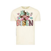 Vintage Arctic he is risen Vintage Tee - Artiststas