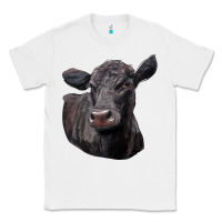 White Black Angus Cow Illustrations Classic Tee - LillyAllenDesigns