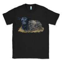 Black Black Angus Calf Illustrations Classic Tee - LillyAllenDesigns