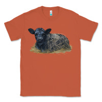 Copper Black Angus Calf Illustrations Classic Tee - LillyAllenDesigns