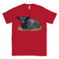 Red Black Angus Calf Illustrations Classic Tee - LillyAllenDesigns