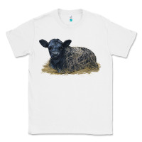 White Black Angus Calf Illustrations Classic Tee - LillyAllenDesigns