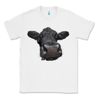 White Black Angus Heifer Classic Tee - LillyAllenDesigns