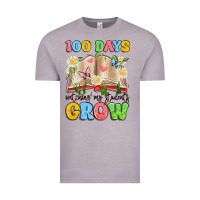 Vintage Zinc 100 days watching my students grow Vintage Tee - Artiststas