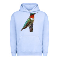 Pigment Grape Ice Ruby Throated Hummingbird Bird Urban Hoodie - LillyAllenDesigns