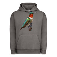 Pigment Tornado Ruby Throated Hummingbird Bird Urban Hoodie - LillyAllenDesigns