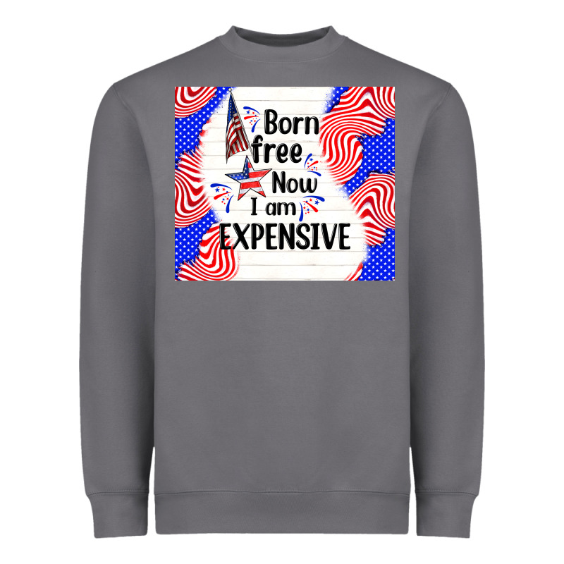 Born Free Now I Am Expensive Heavyweight Sweatshirt by TumblerDesignByShophia | Teevron