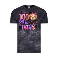 Cloud Black 100 pawfect days Vintage Tee - Artiststas