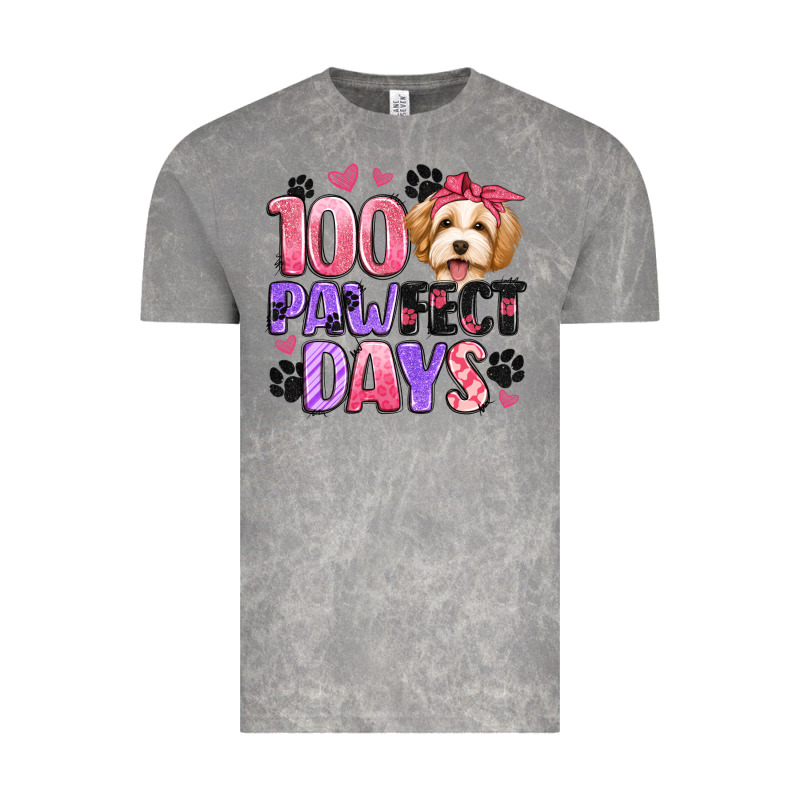 100 Pawfect Days Vintage Tee by Artiststas | Teevron