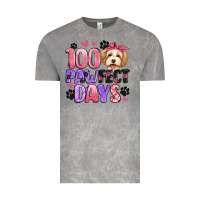 Cloud Rock 100 pawfect days Vintage Tee - Artiststas