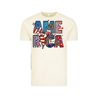 Vintage Arctic america 4th of july Vintage Tee - Artiststas