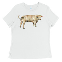 White charolais bull Ladies Tee - RanaPortraitStore