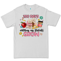 Dove Grey 100 days of watching my students grow Premium Tee - MaliasSmallBusiness