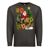 Smoke Christmas Trex Ho Ho Ho Santa Premium Sweatshirt - FaDigitalArtStudio