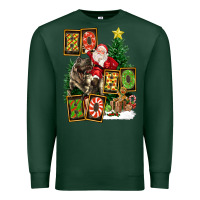 Sports Green Christmas Trex Ho Ho Ho Santa Premium Sweatshirt - FaDigitalArtStudio