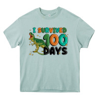 Arona i survived 100 days Heavy Core Tee - MaliasSmallBusiness