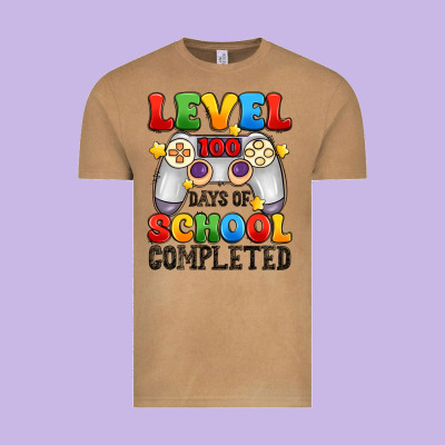 Level 100 Days Of School Completed Vintage Tee Designed By Artiststas