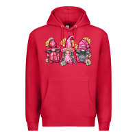 Cardinal breast cancer gnomes Premium Hoodie - FaDigitalArtStudio