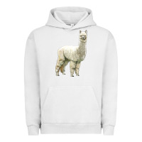 Pigment Lunar Rock Alpaca Urban Hoodie - LillyAllenDesigns