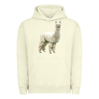 Pigment Pistachio Alpaca Urban Hoodie - LillyAllenDesigns