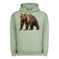 Pigment Oil Green Brown Bear Urban Hoodie - LillyAllenDesigns
