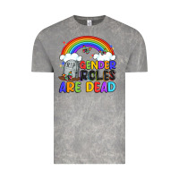 Cloud Rock gender roles are dead Vintage Tee - Artiststas