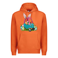 Carrot Easter toddler car Premium Hoodie - OliviaCreatesArt