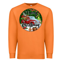 Carrot Merry Christmas Truck Premium Sweatshirt - FaDigitalArtStudio