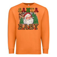 Carrot santa baby Premium Sweatshirt - FaDigitalArtStudio