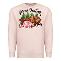 Pale Pink merry christmas pig Premium Sweatshirt - FaDigitalArtStudio