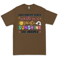 Cacao good morning world your little ray of sarcastic Premium Tee - MaliasSmallBusiness