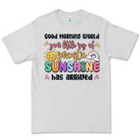 Dove Grey good morning world your little ray of sarcastic Premium Tee - MaliasSmallBusiness