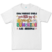 White good morning world your little ray of sarcastic Premium Tee - MaliasSmallBusiness